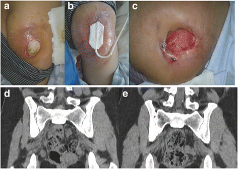 Fig. 5