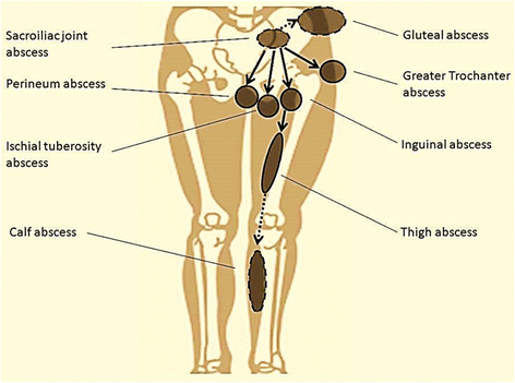 Fig. 6