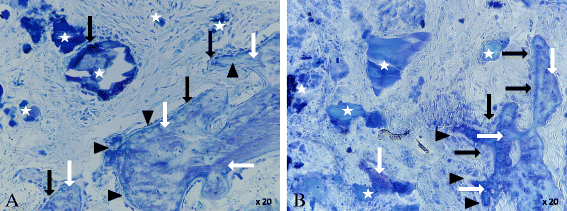 Fig. 14