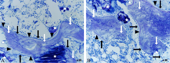 Fig. 15