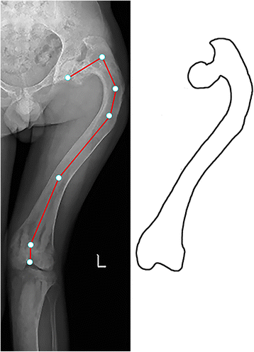 Fig. 5