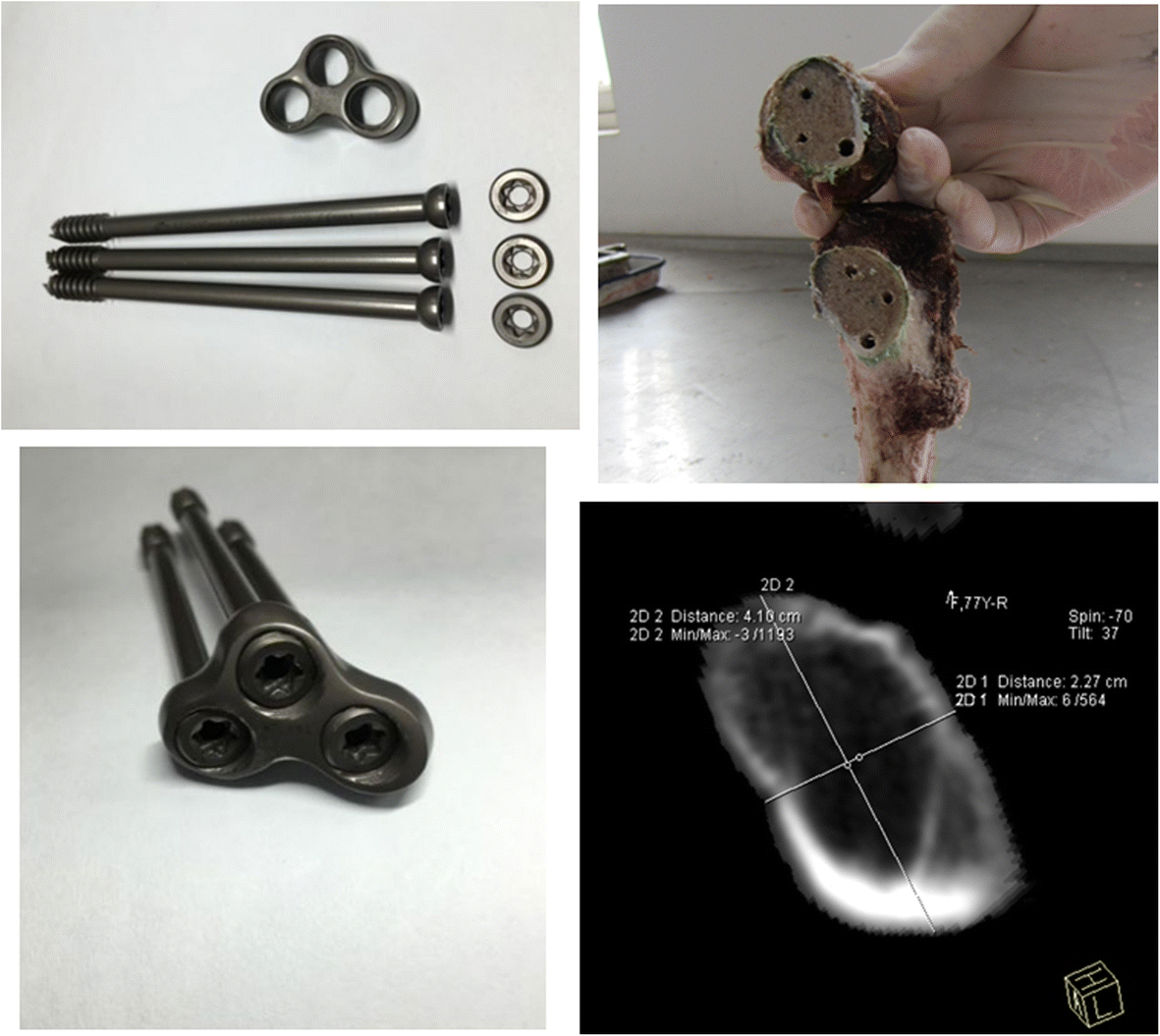 Fig. 3