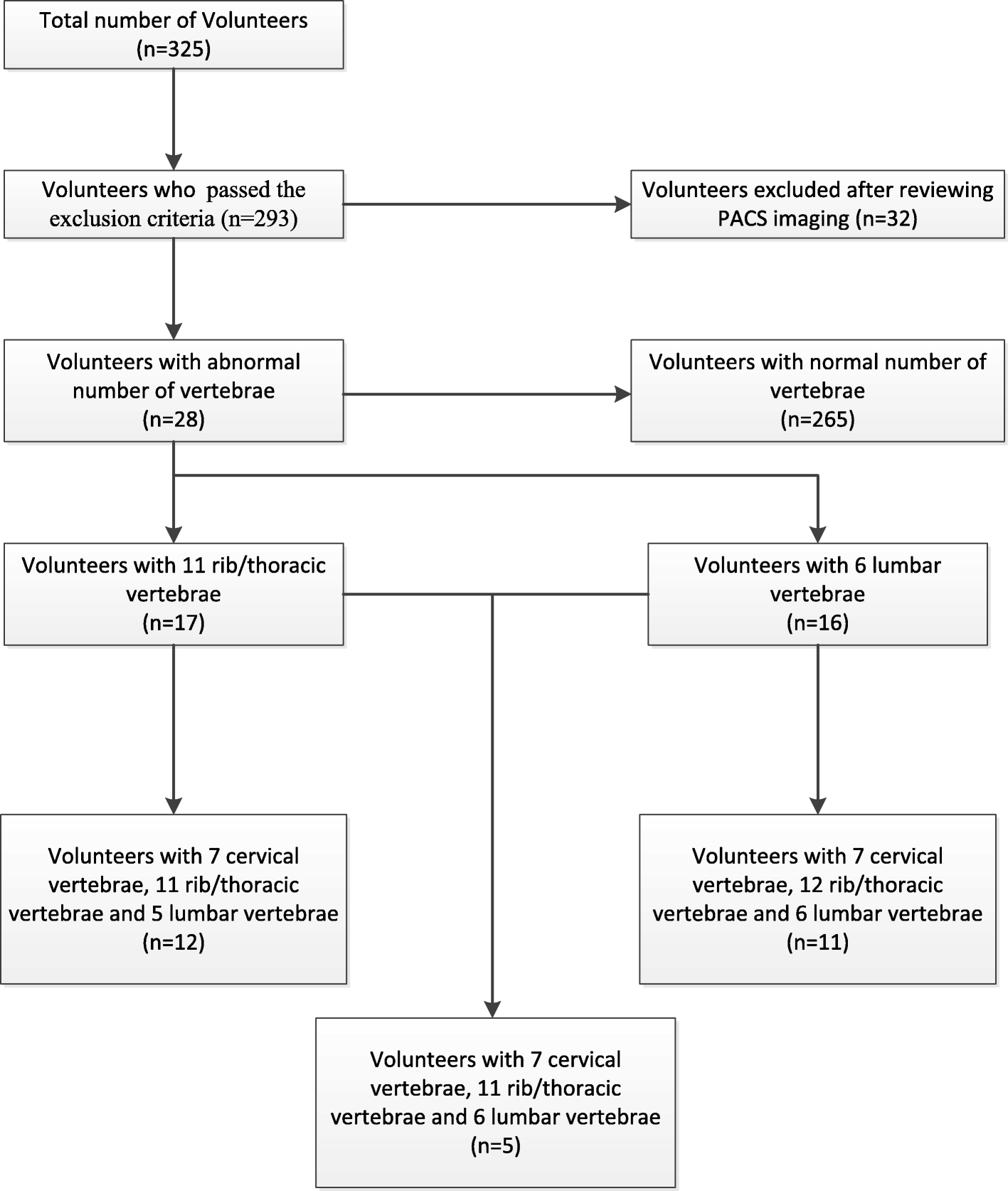 rate of presence of 11 thoracic vertebrae and 6 lumbar vertebrae in