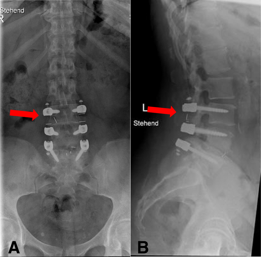 Fig. 8