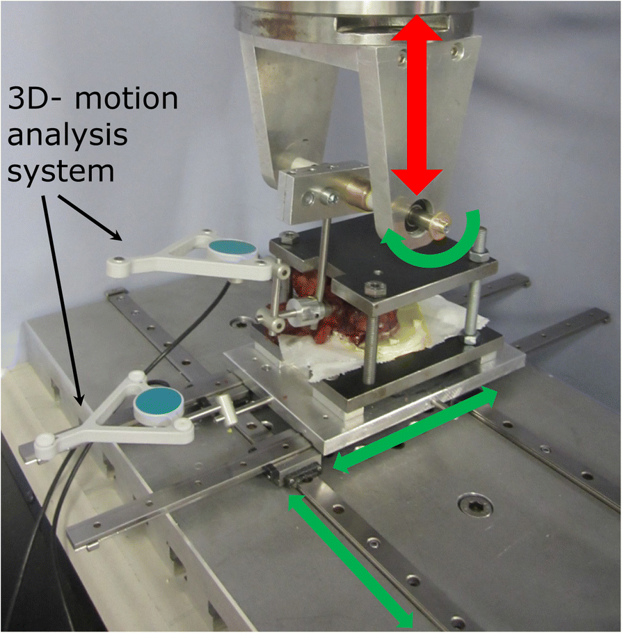 Fig. 2