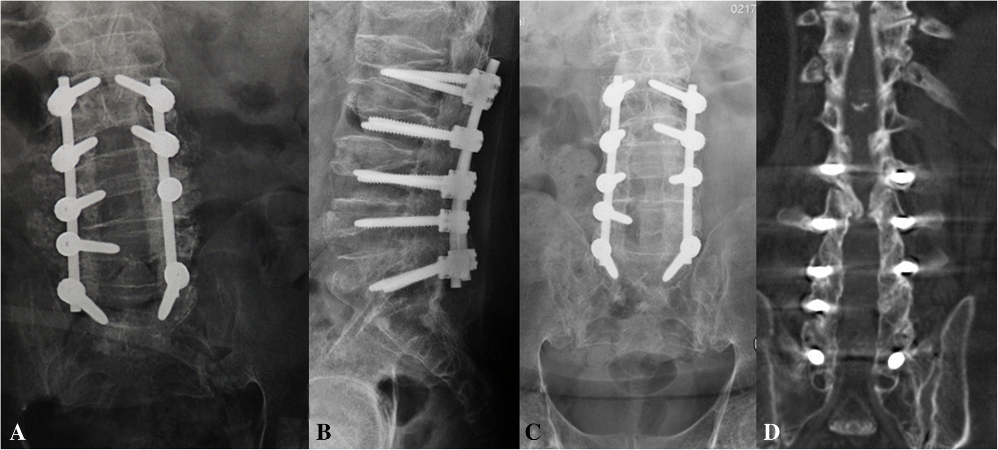 Fig. 5