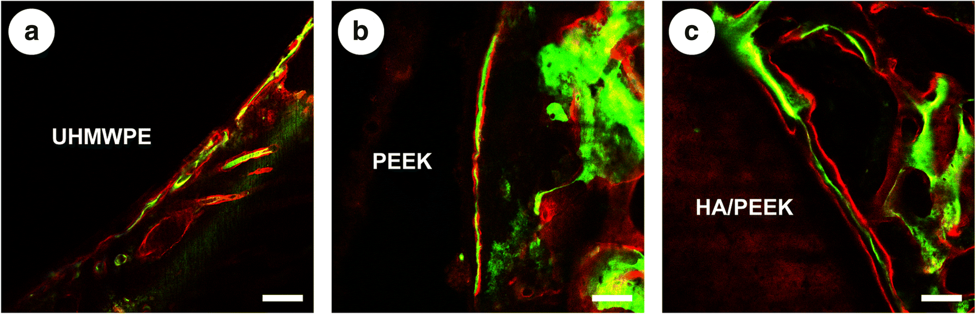 Fig. 12