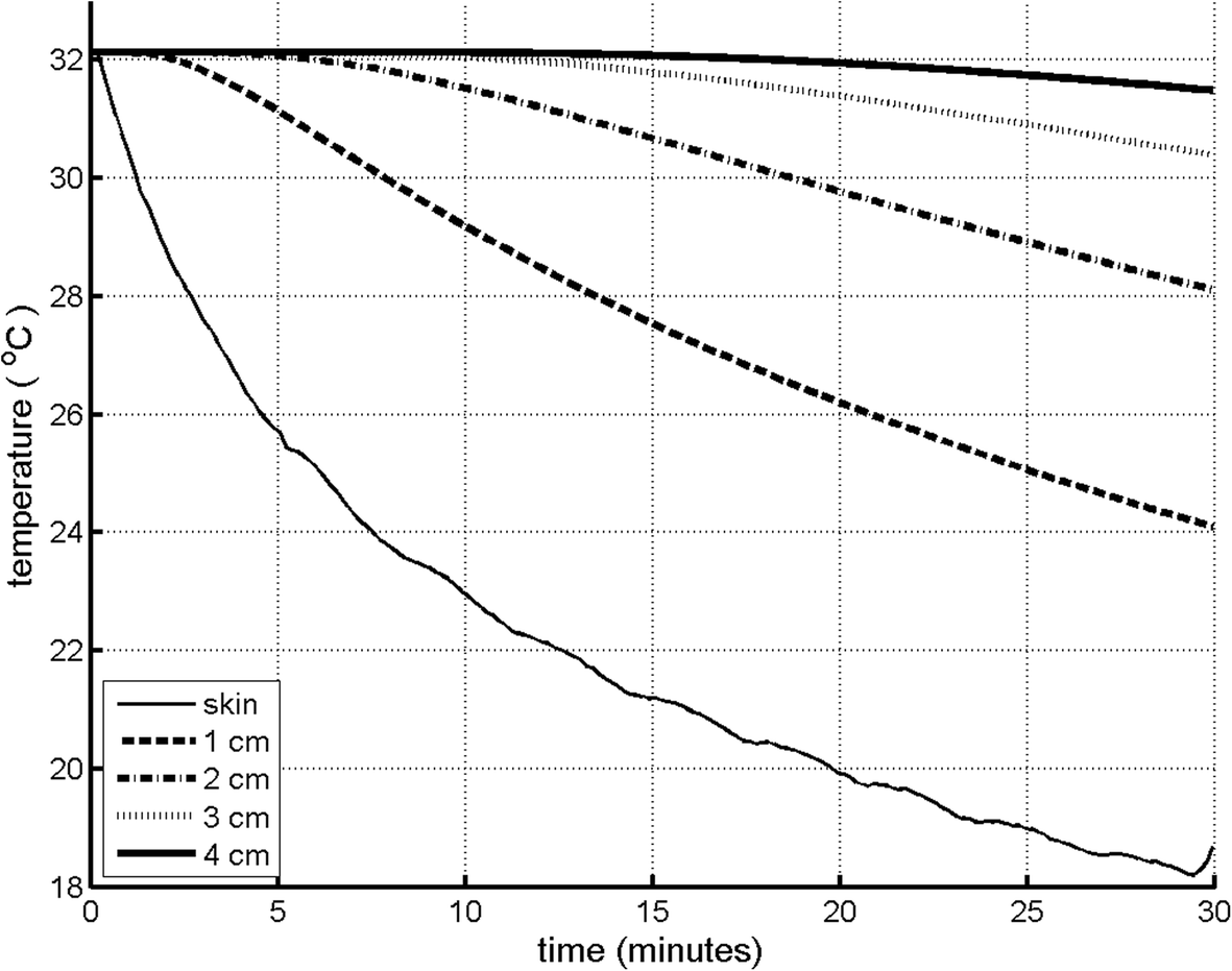 Fig. 3