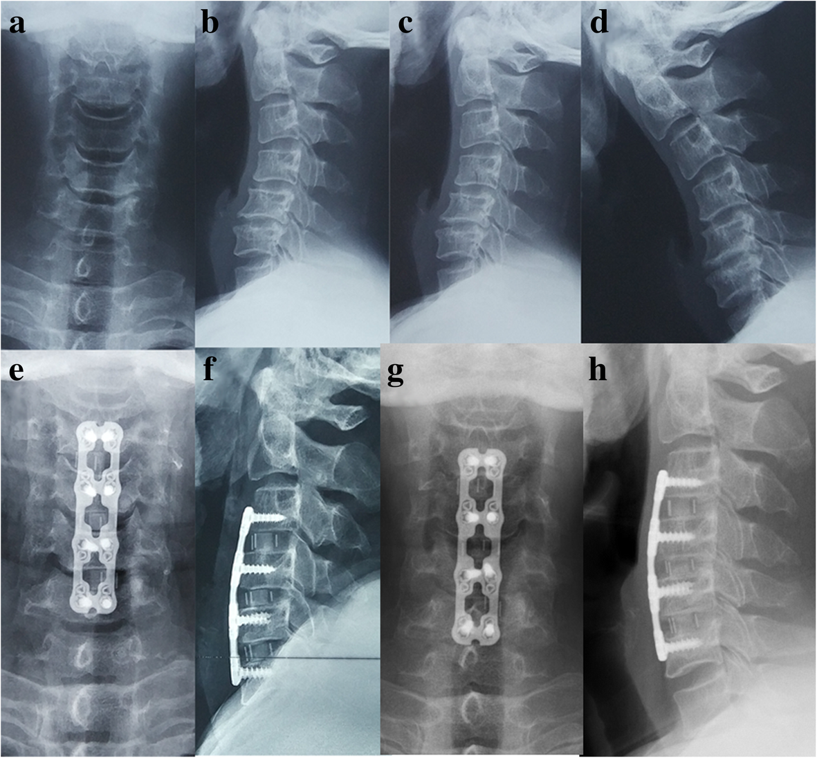 Fig. 3