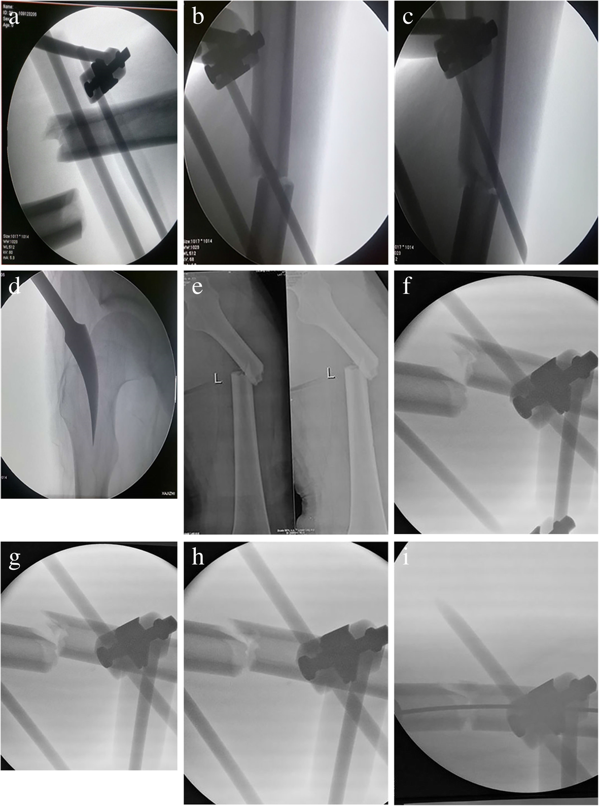 Fig. 3