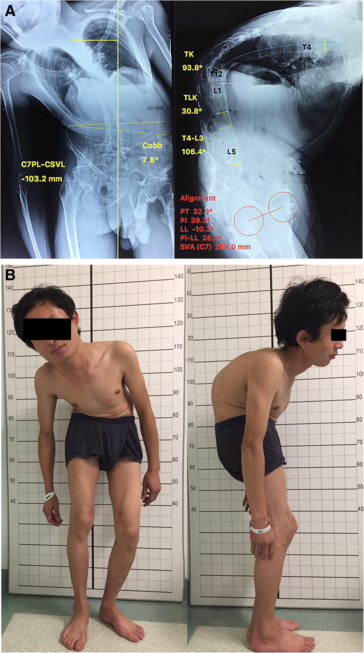 Fig. 1