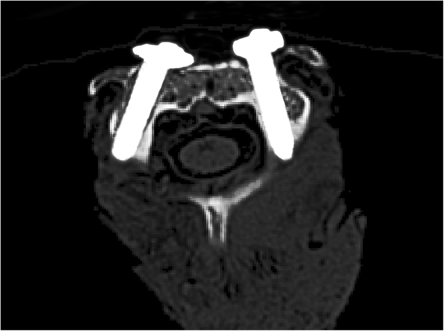 Fig. 5