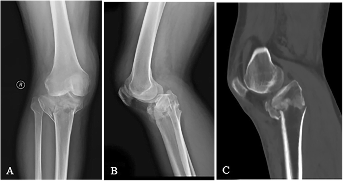 Fig. 8