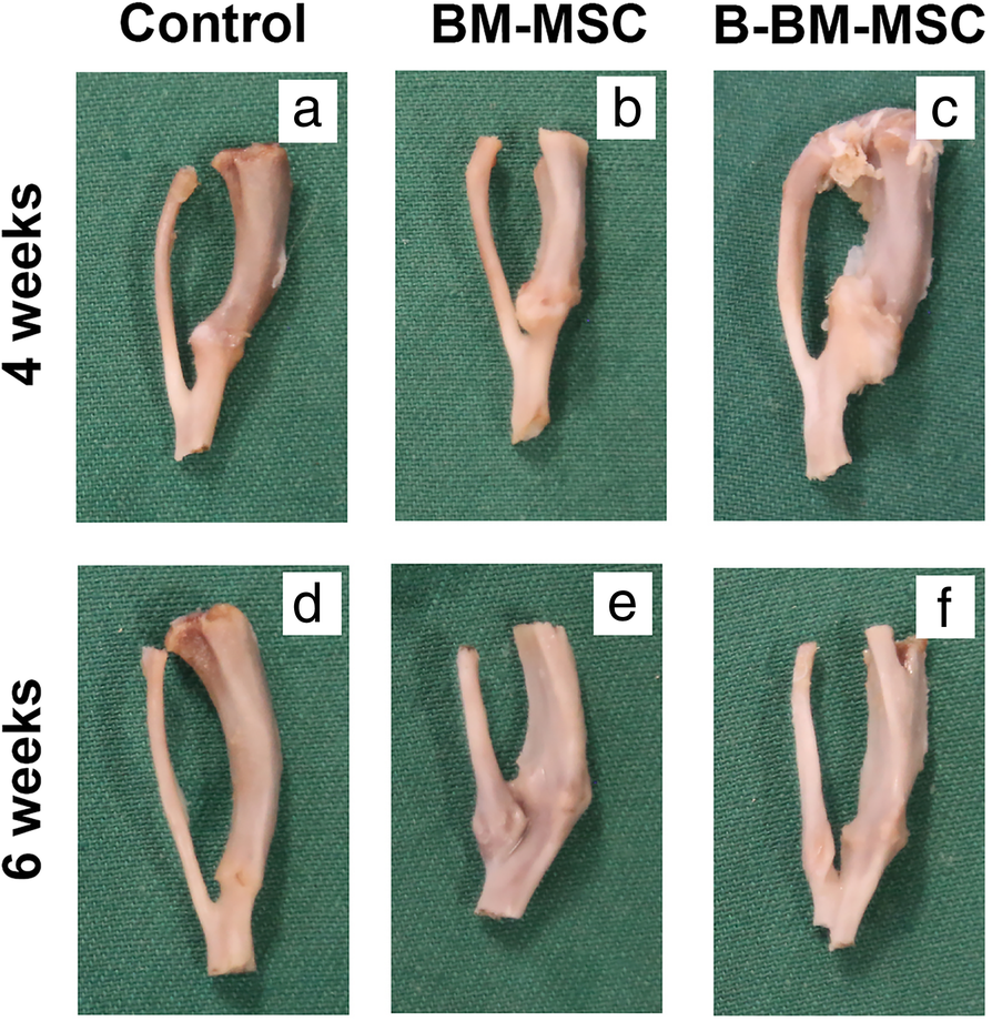 Fig. 8