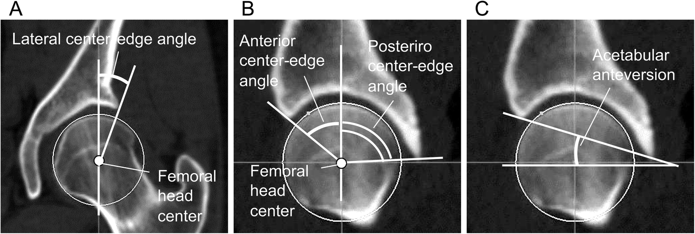 Fig. 3