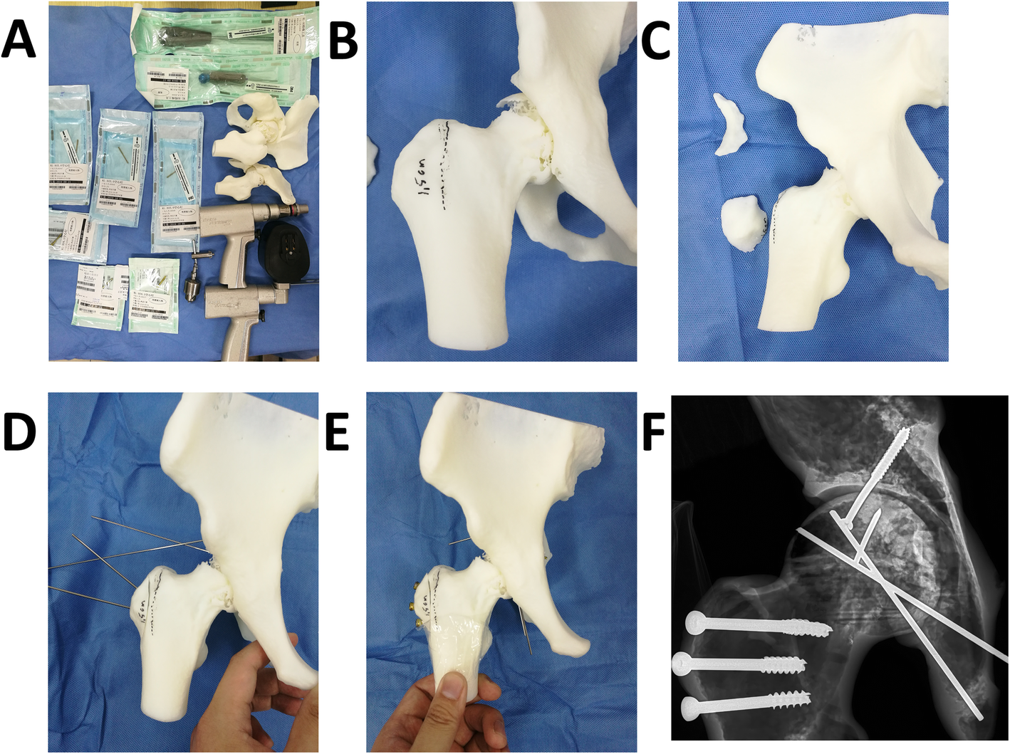 Fig. 4