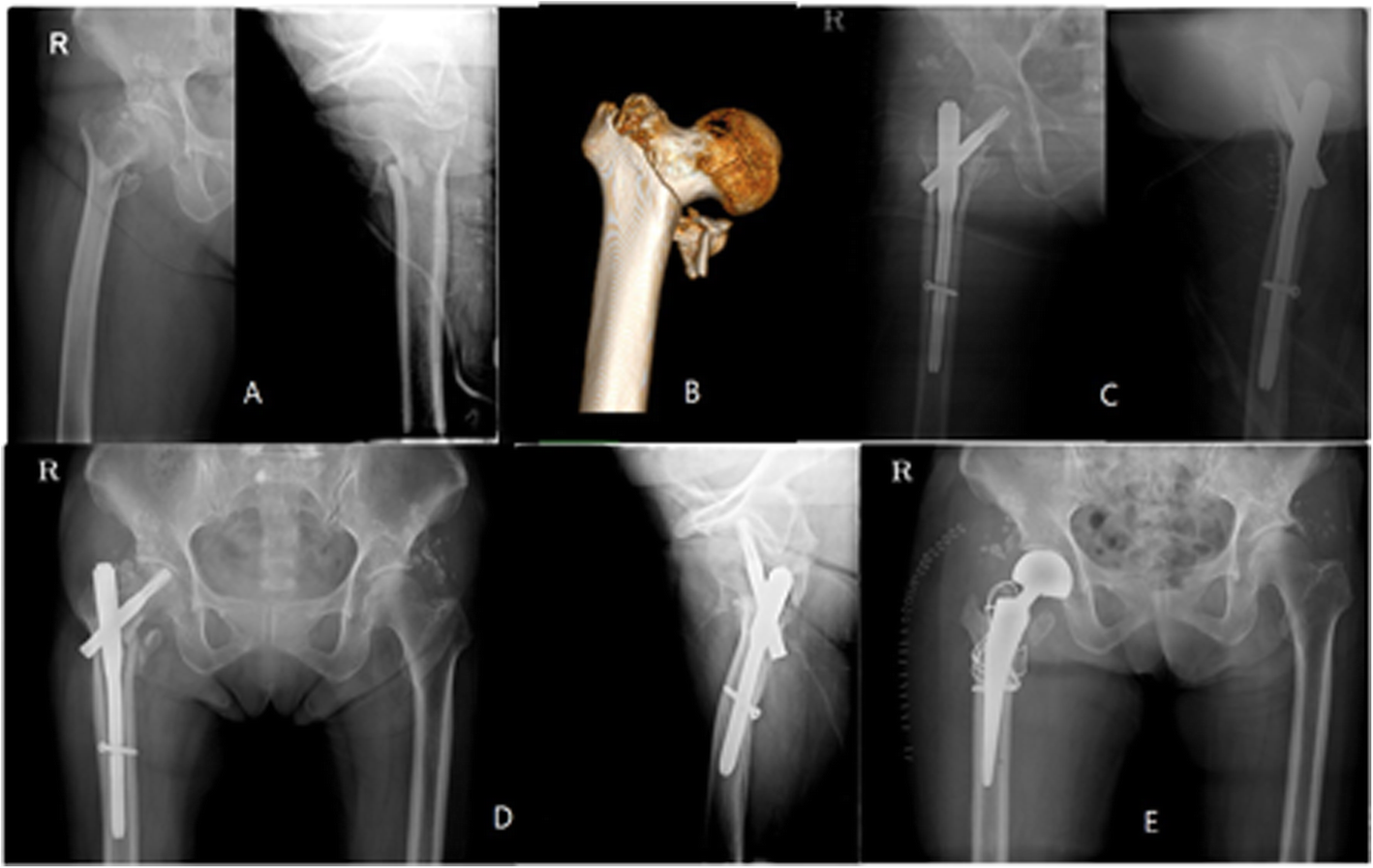 Fig. 5