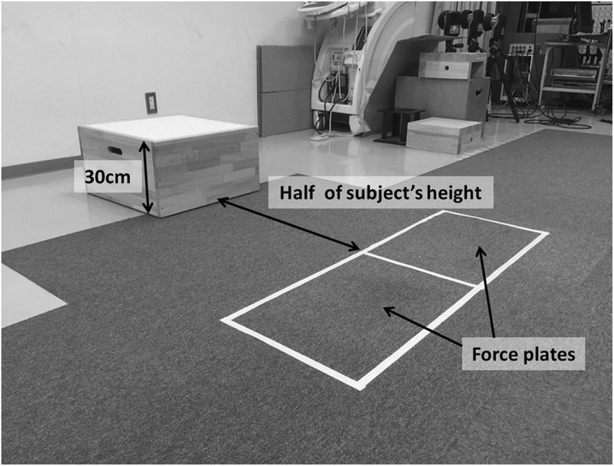 Fig. 1