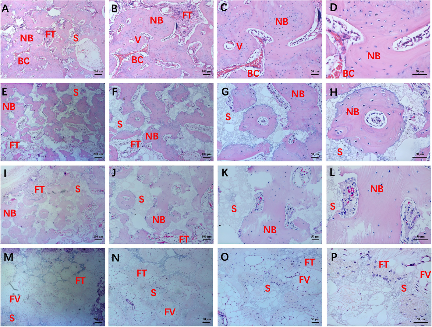 Fig. 10