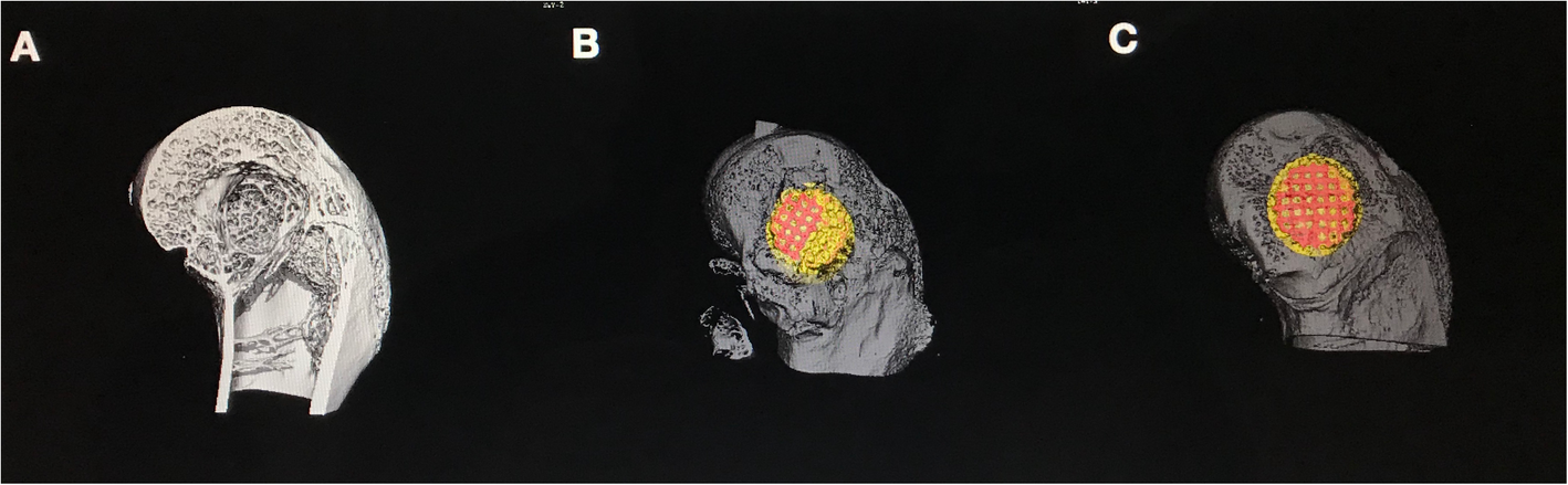 Fig. 5