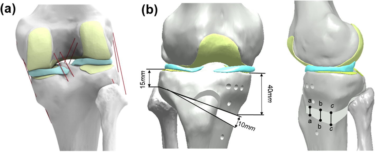 Fig. 1