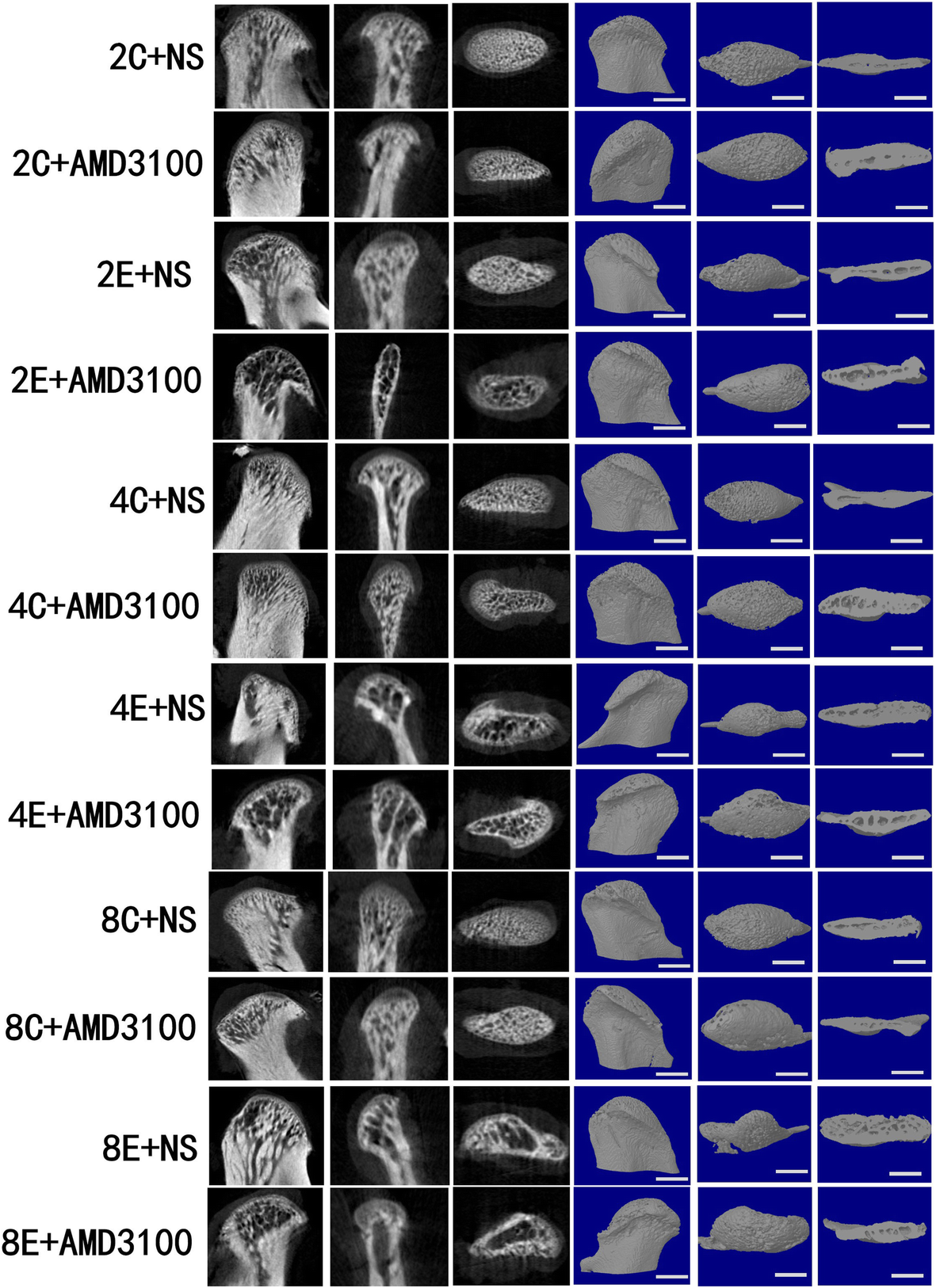 Fig. 7