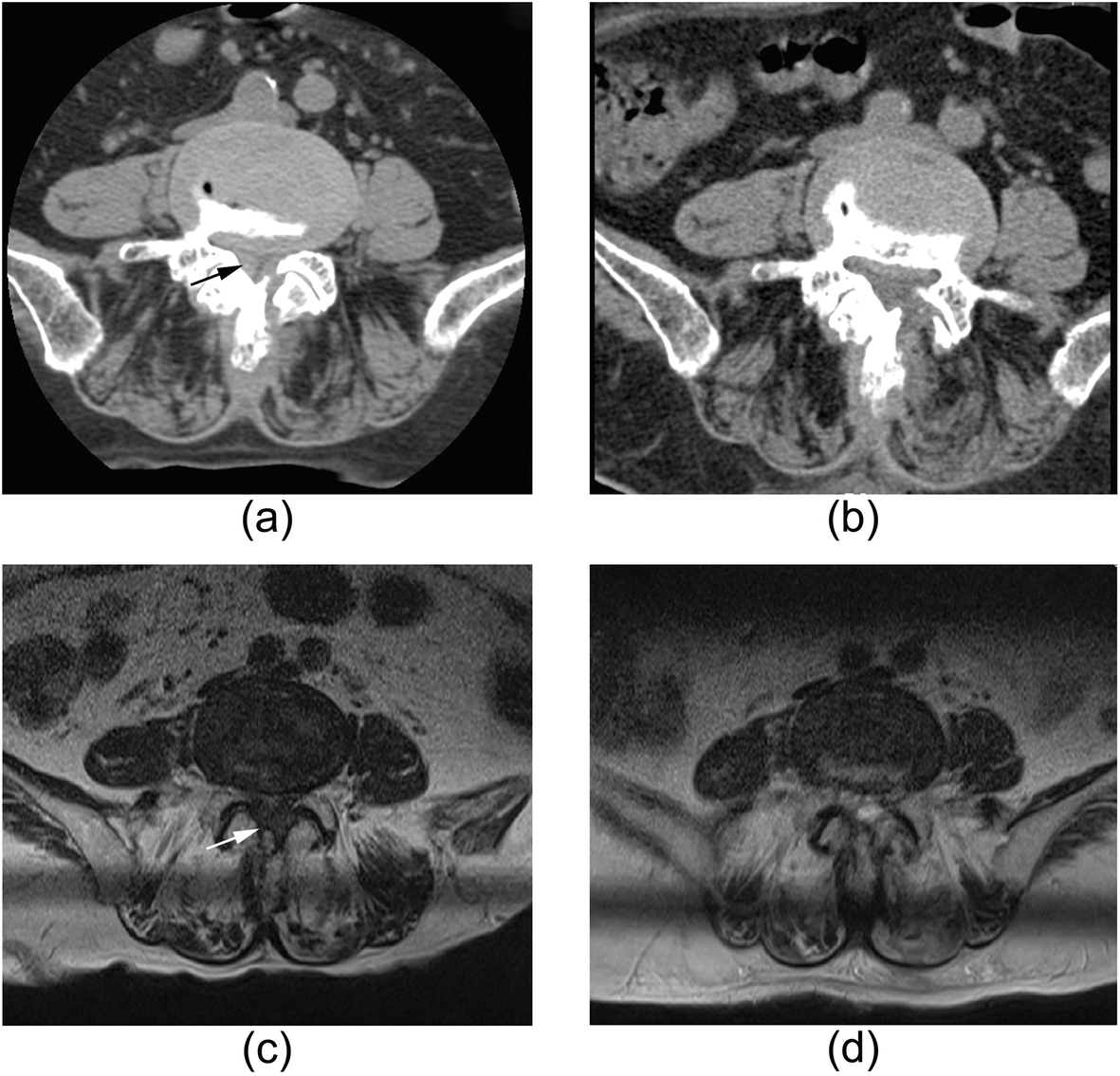 Fig. 5