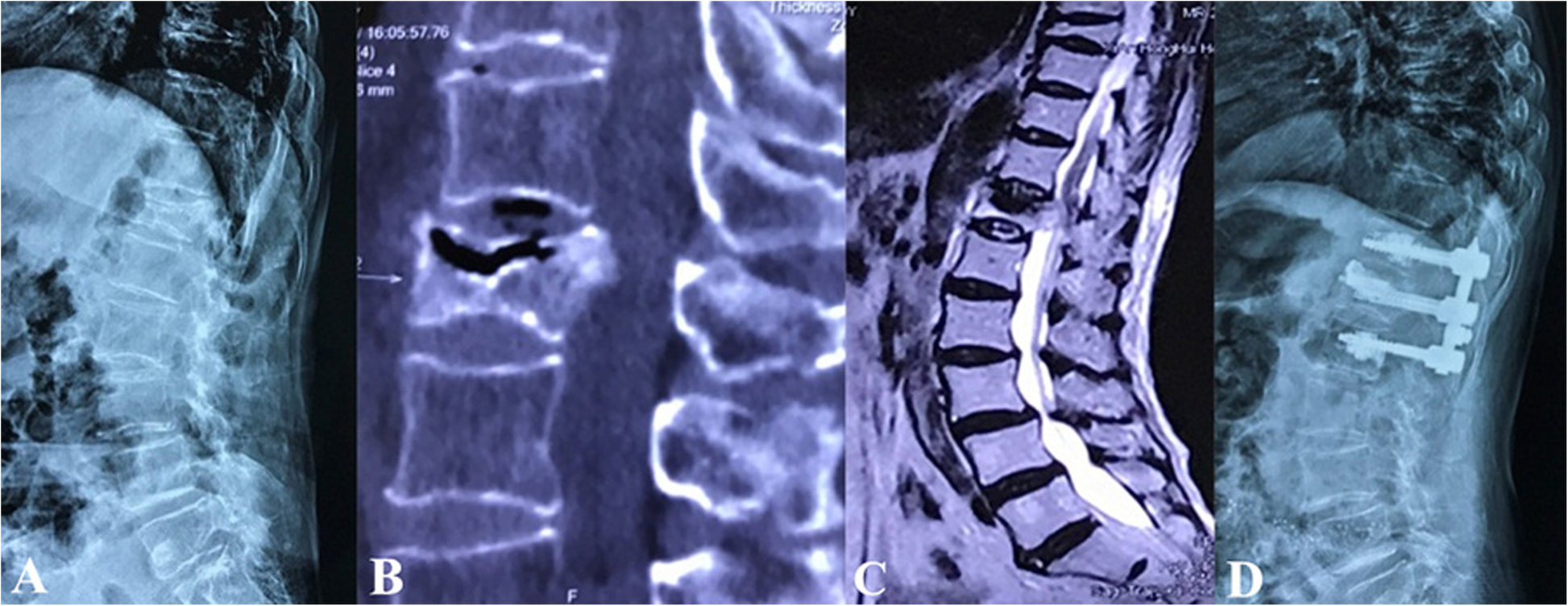 Fig. 6