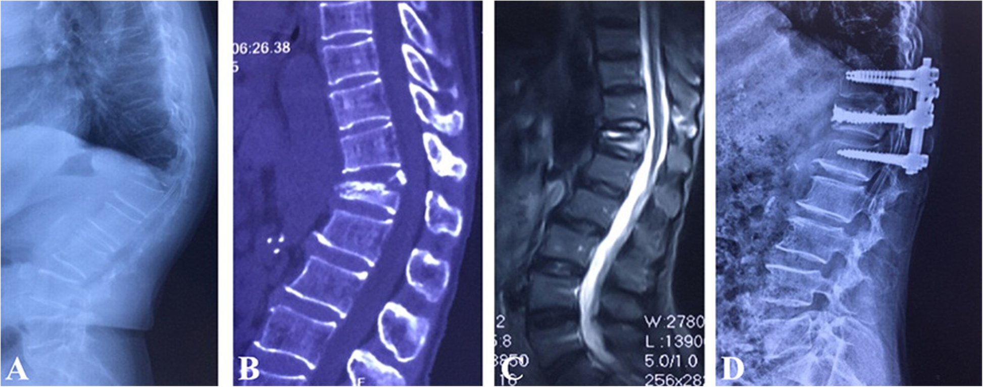 Fig. 7