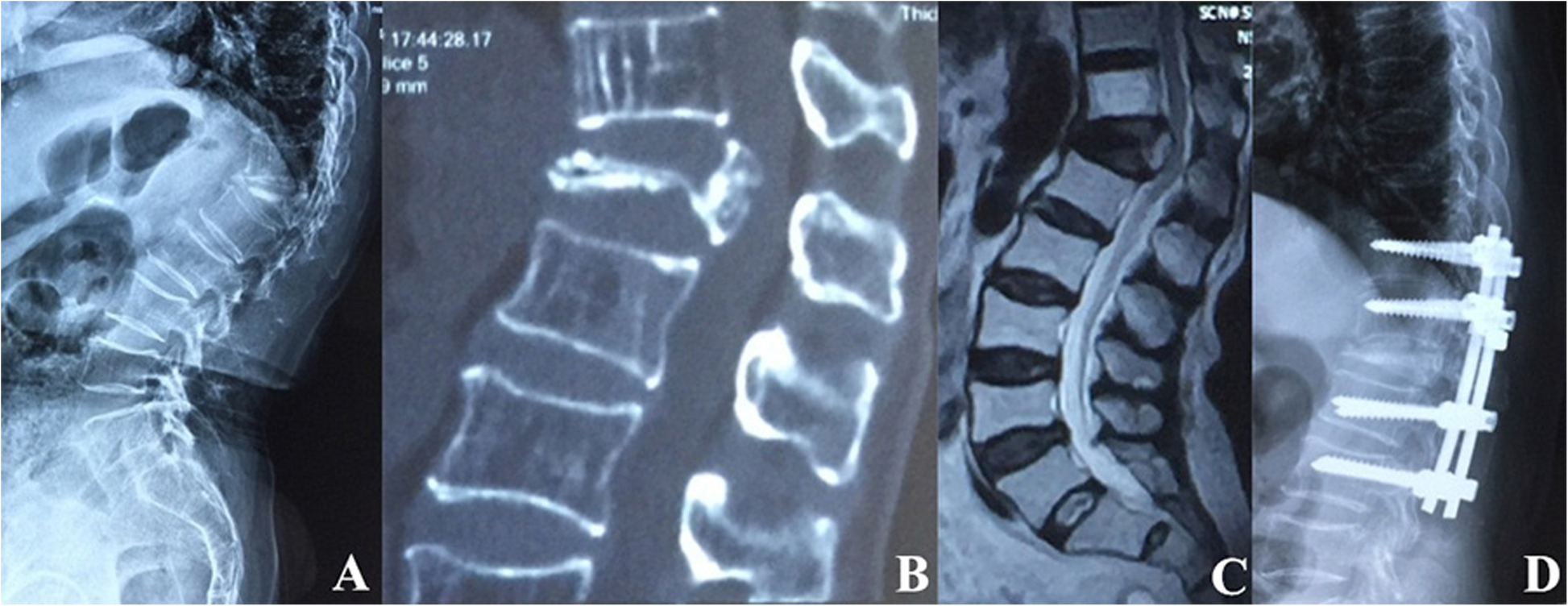 Fig. 8