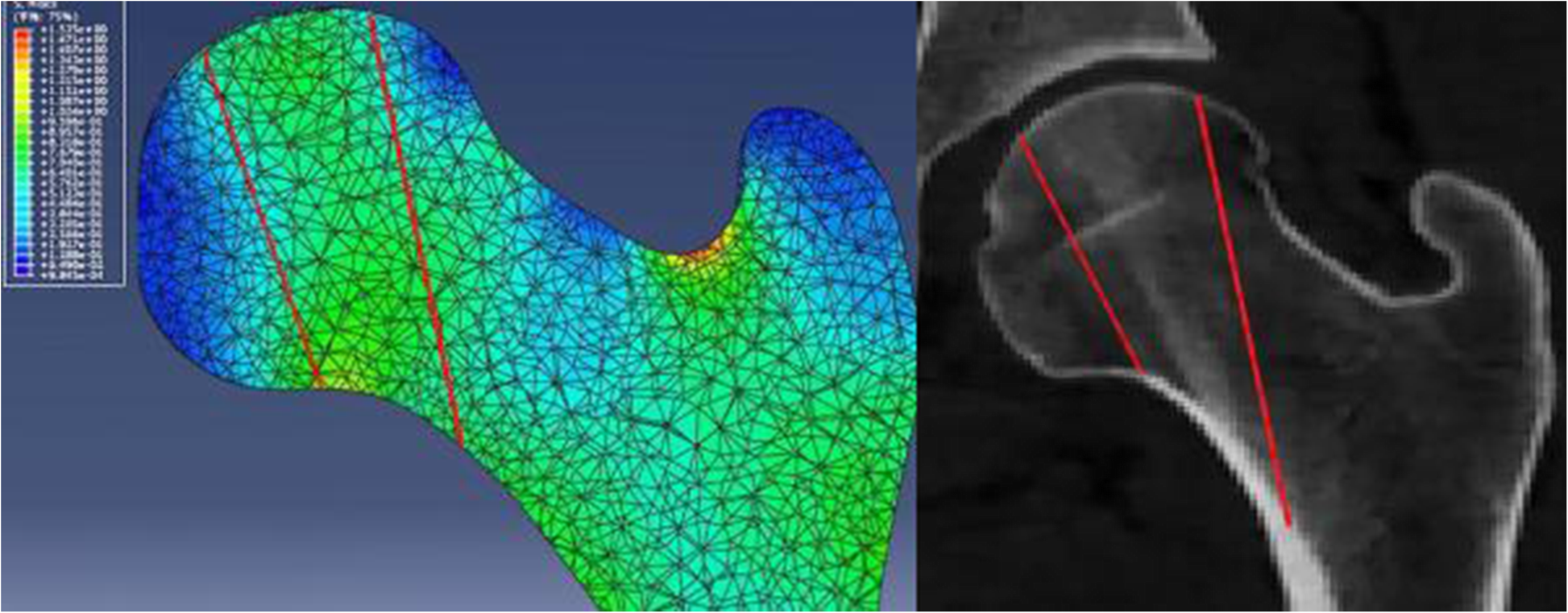 Fig. 10