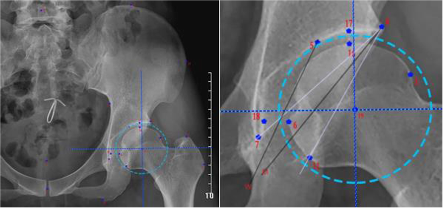 Fig. 2