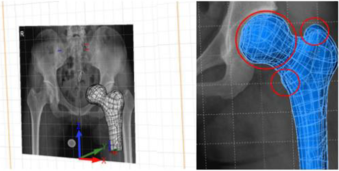 Fig. 3