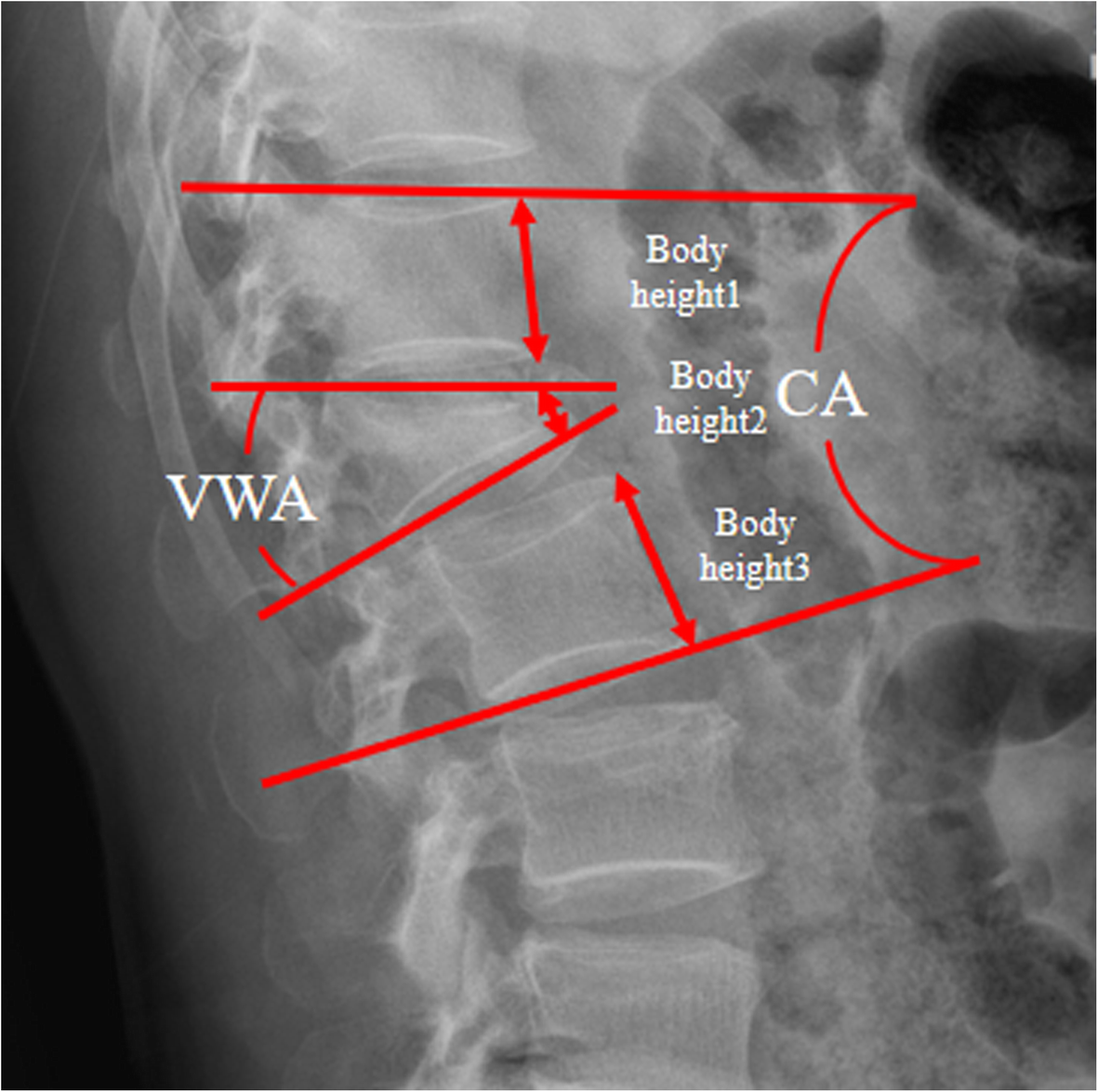 Fig. 3