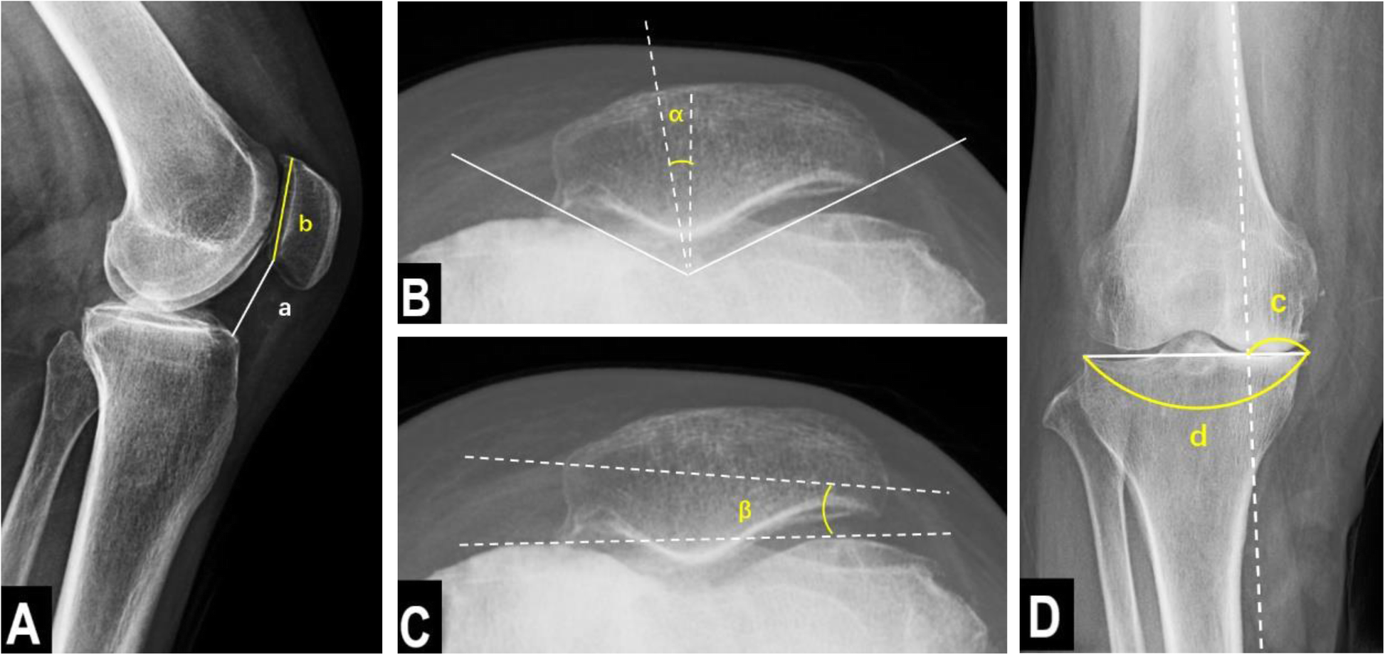 Fig. 5