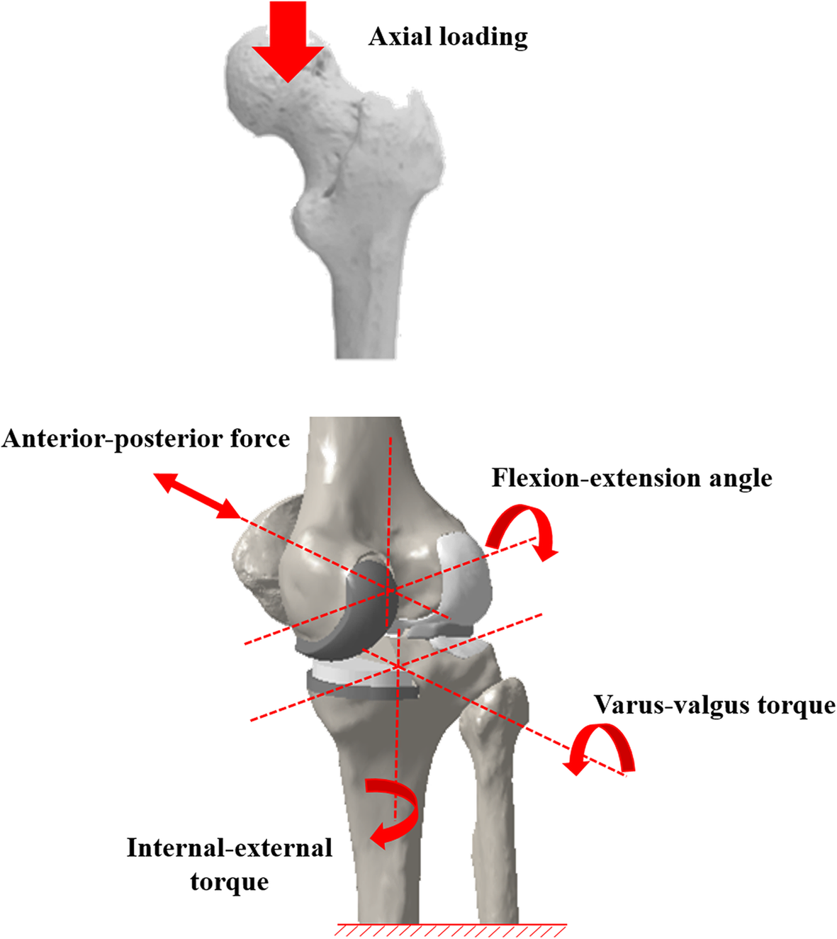 Fig. 2