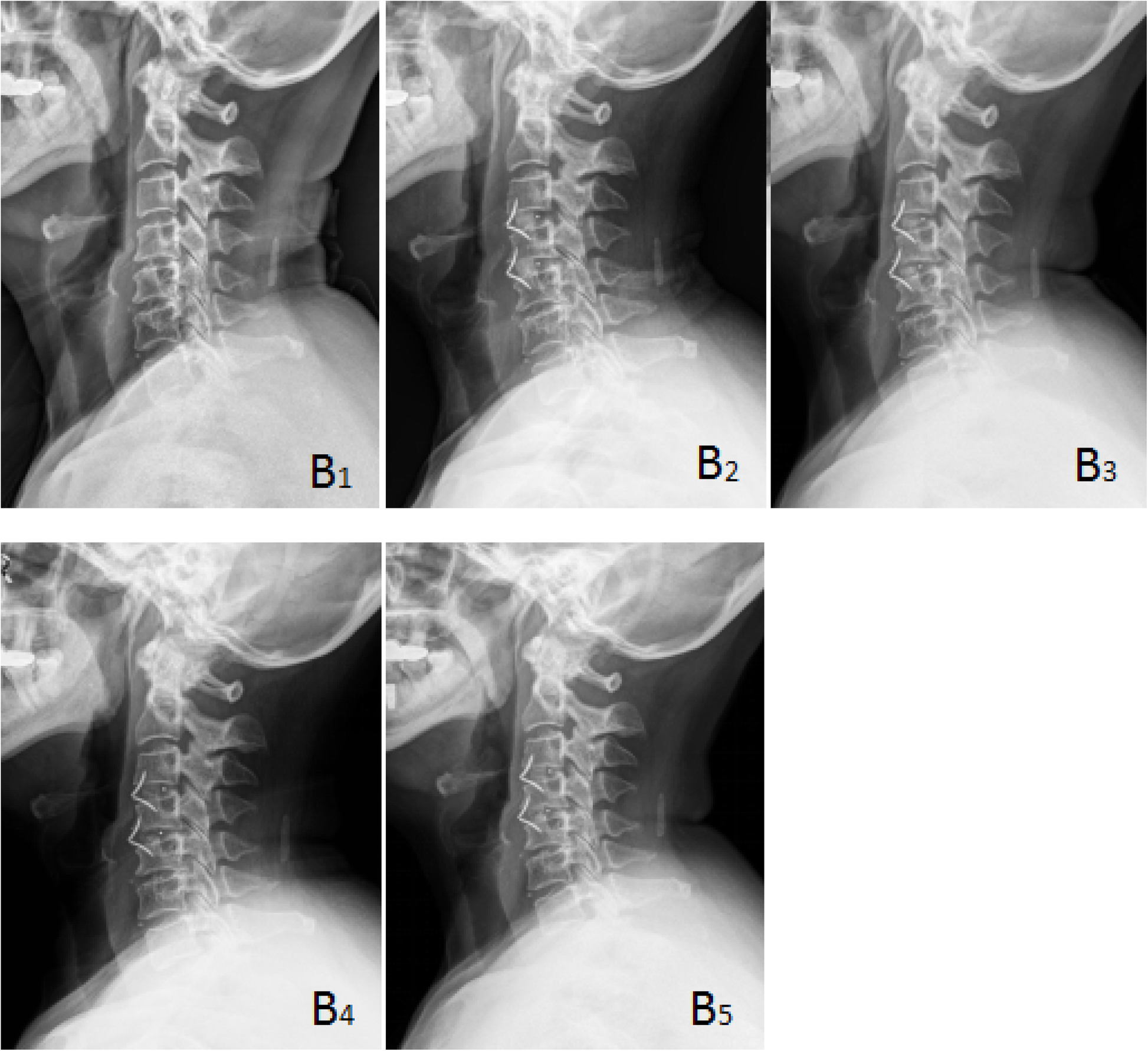 Fig. 2 