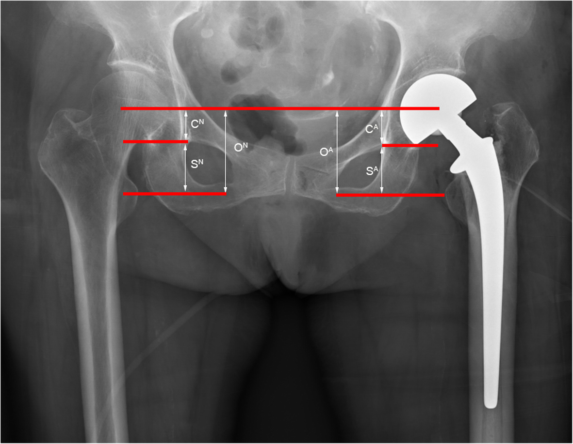 Fig. 4