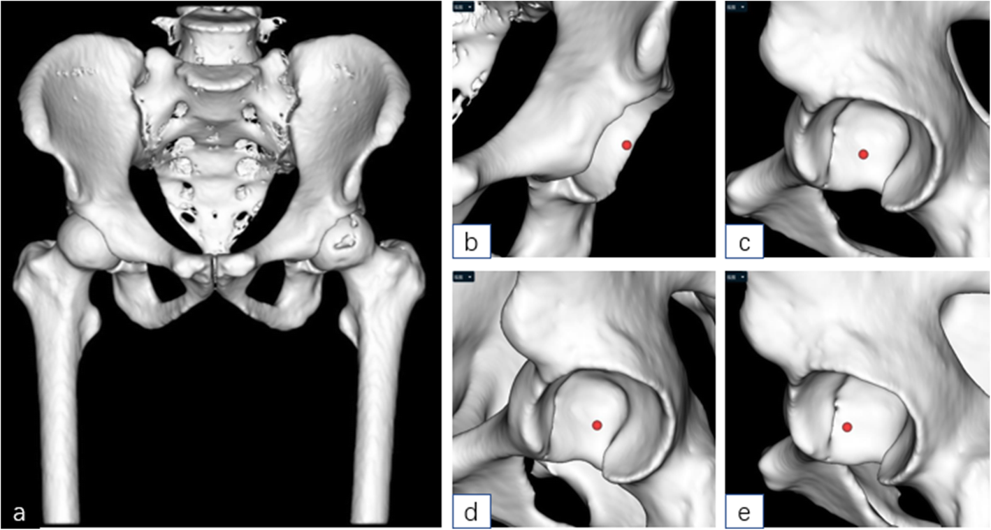 Fig. 2