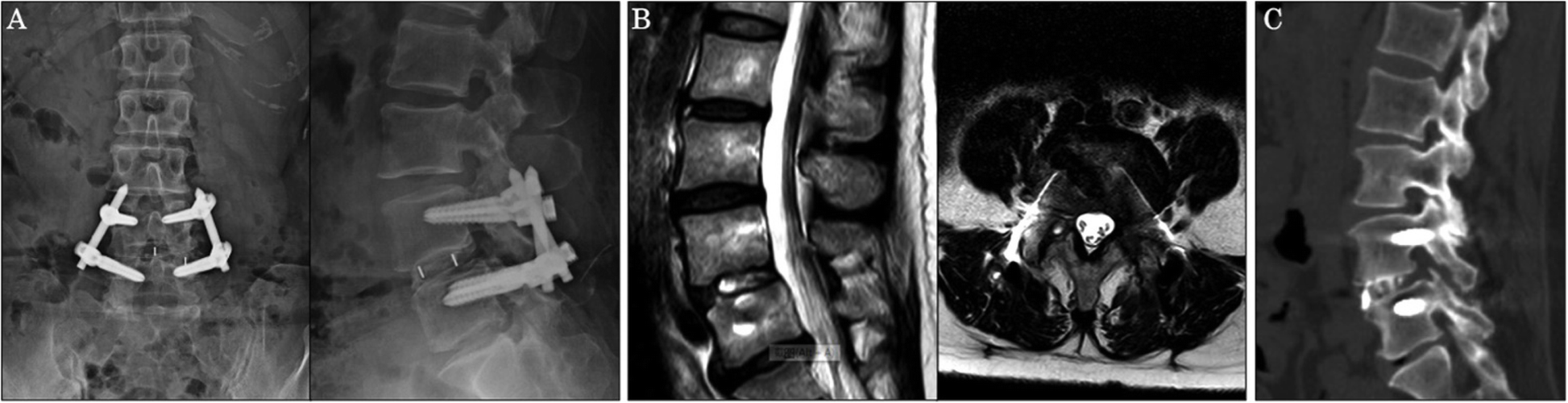 Fig. 5