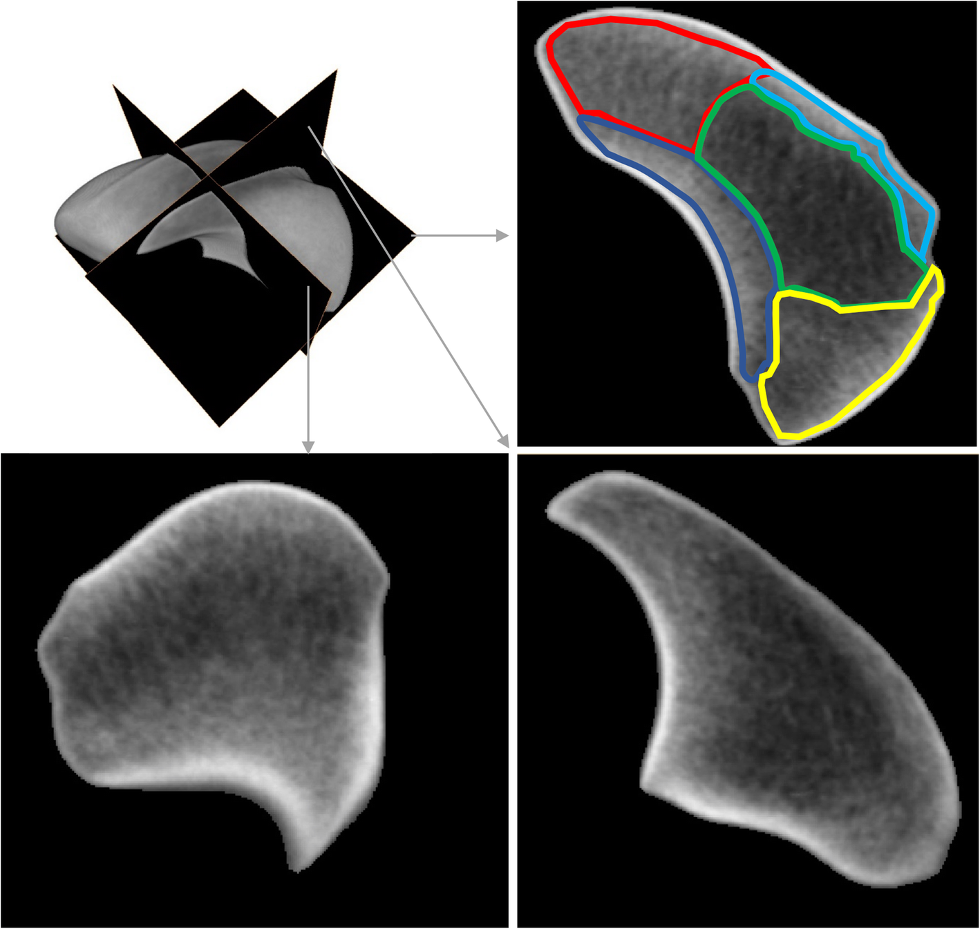 Fig. 3