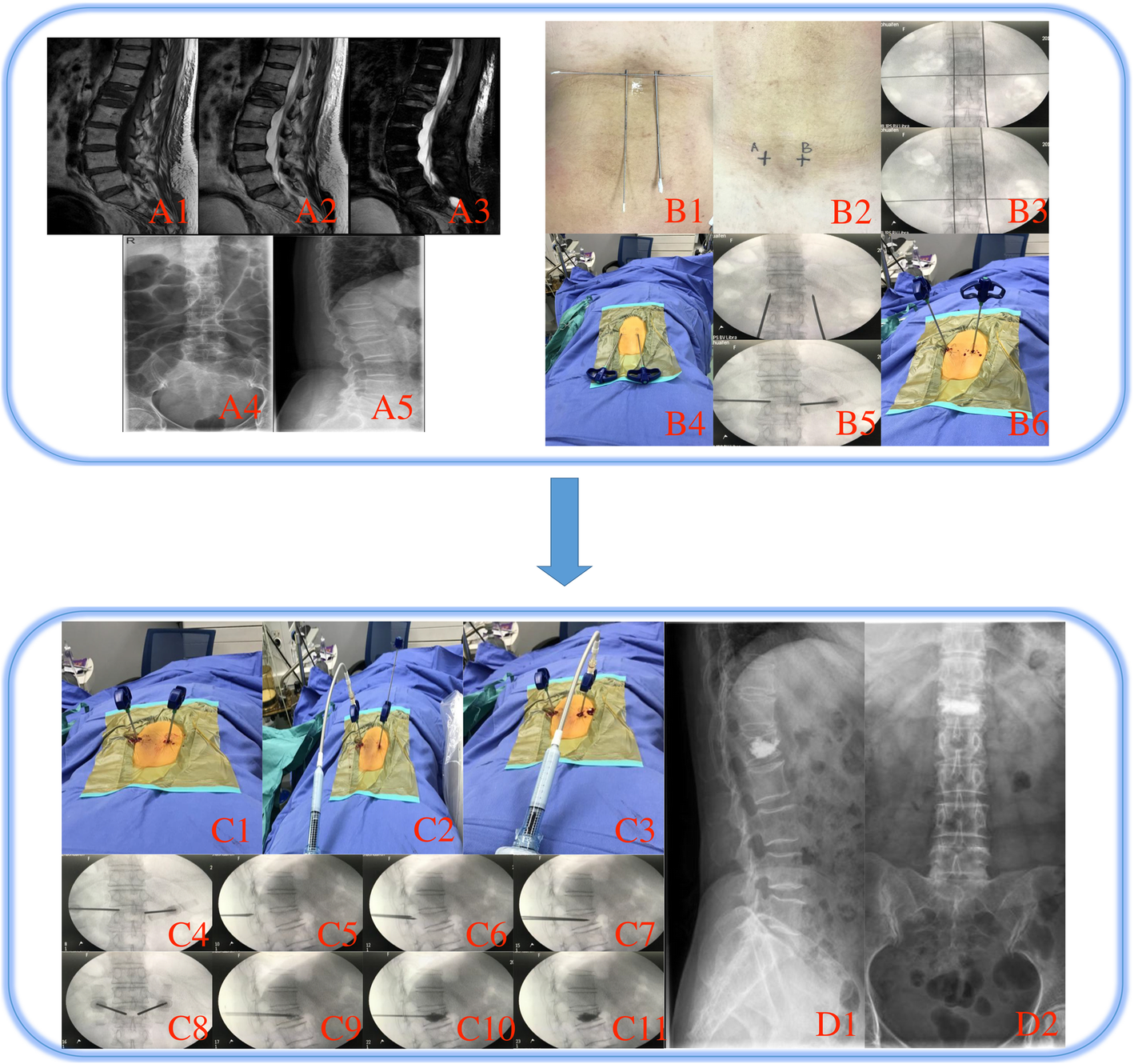 Fig. 2