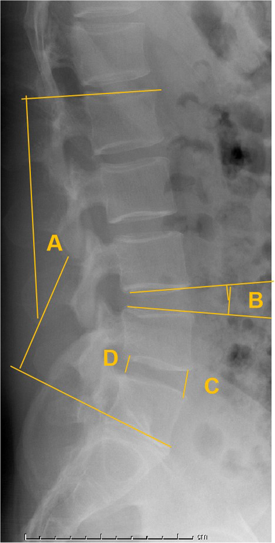 Fig. 4