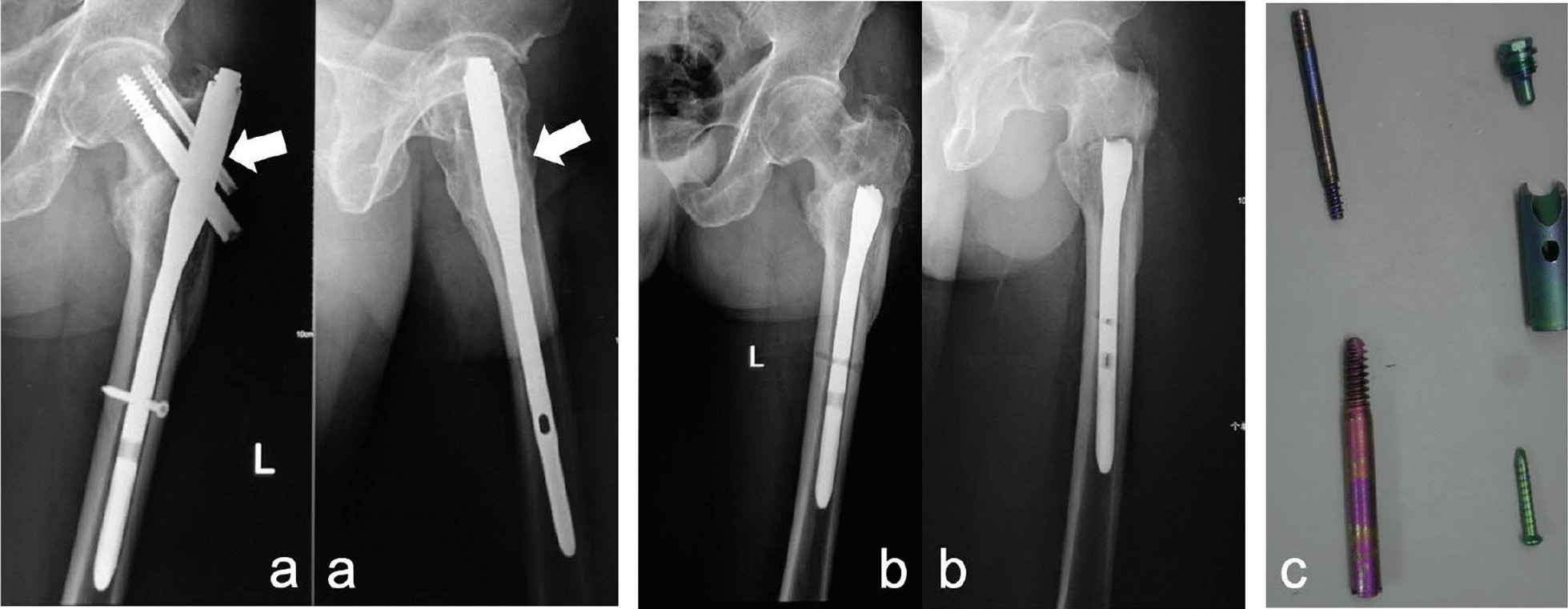 Fig. 2