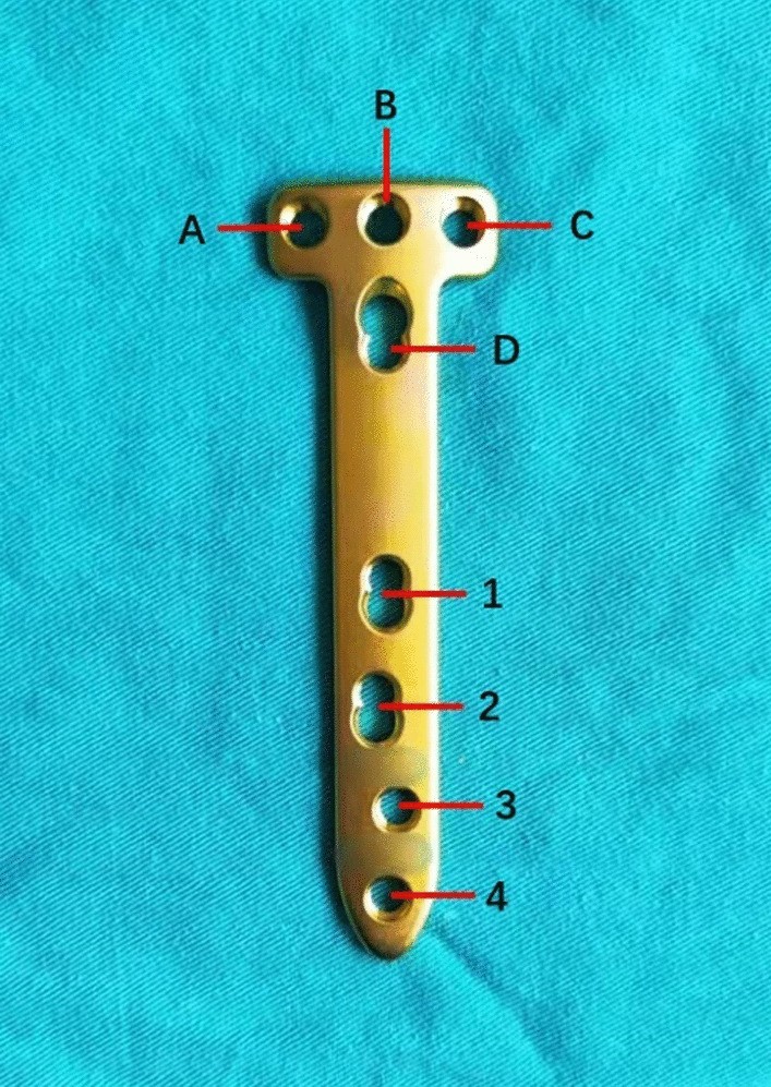 Fig. 2