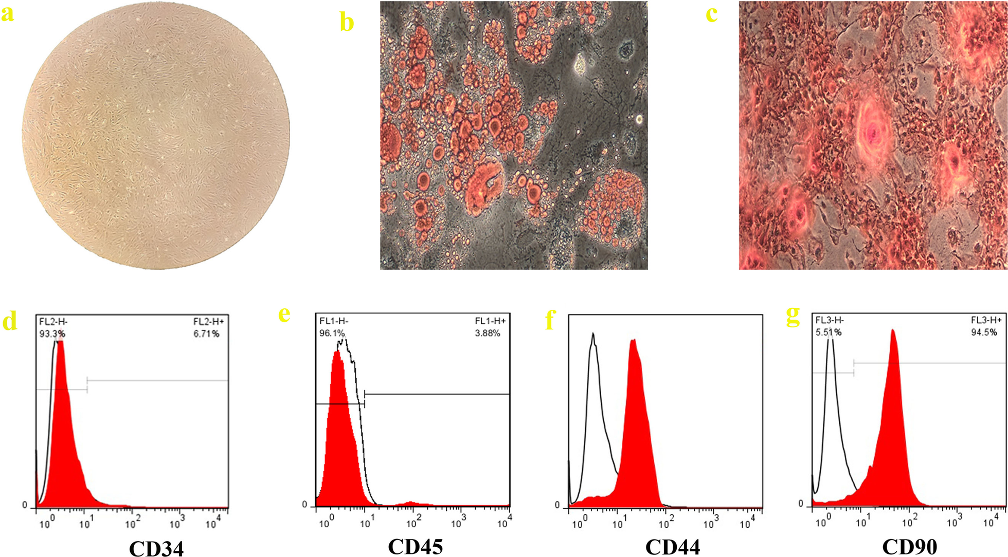 Fig.1