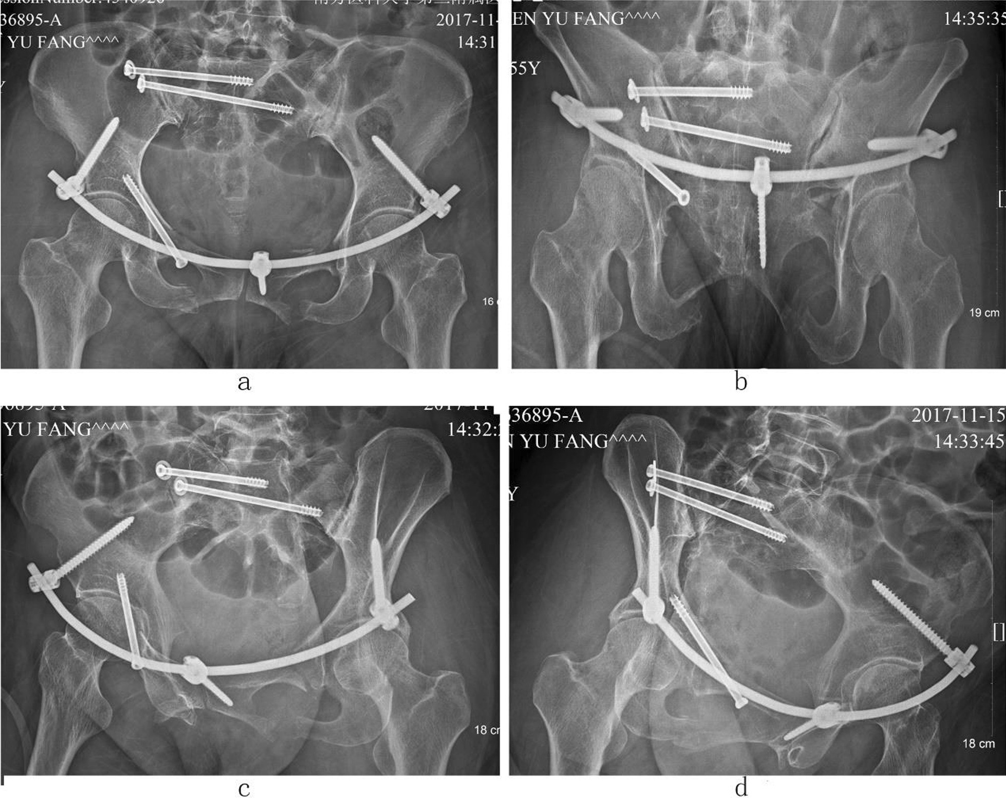 Fig. 6