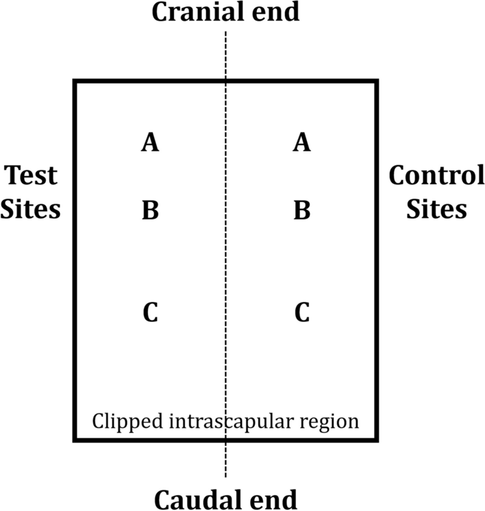 Fig. 9