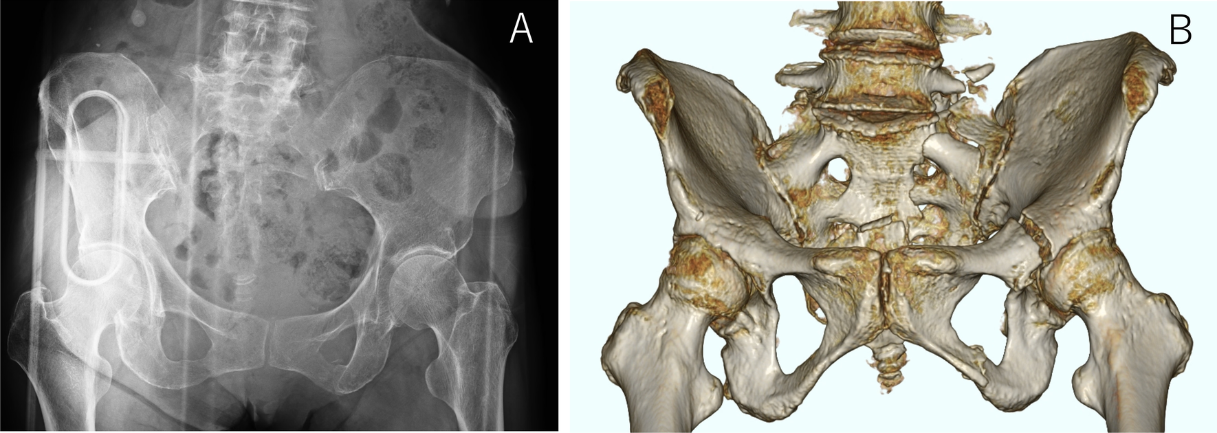 Fig. 7