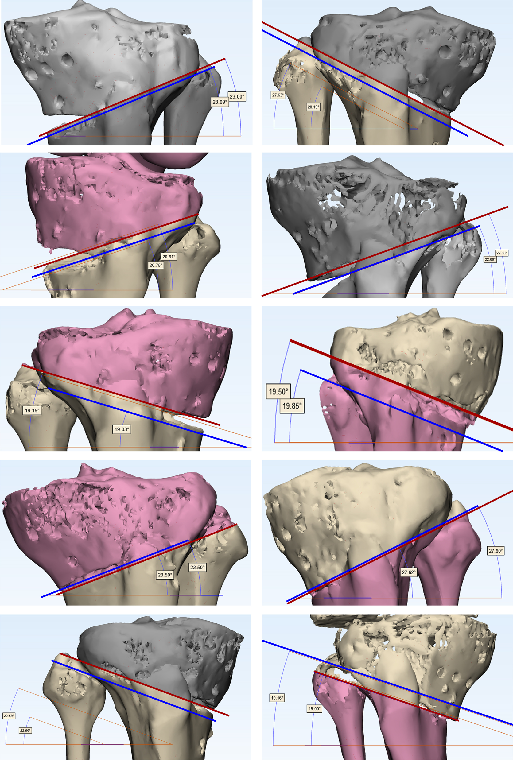 Fig. 5